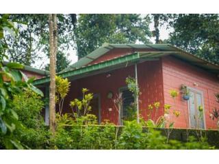 Luxury Plantation Homestay in Coorg Luxury Plantation Homestay in Coorg