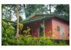 Luxury Plantation Homestay in Coorg