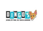 Dingos Natural Pet Food and Spa, Pet Supplies, Food Delivery.