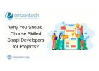 Why You Should Choose Skilled Strapi Developers for Projects?