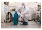 Top-Rated Rodent Control Services Near Me - Trusted Pest Experts in UAE