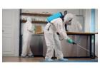 Al Ameen Pest Control – Expert Termite Exterminator Services for Complete Protection