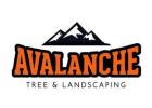 Avalanche Tree and Landscaping LLC