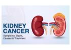 Kidney Cancer Treatments In Bangalore | Worldofurology