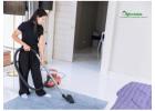 Professional Carpet Cleaning: Tackle Water Damage & Mould Today