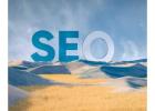 Best SEO Services in Delhi NCR | Boost Your Online Visibility