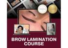 Brow Lamination Course With Certificate