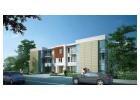 2 & 3 BHK Flats in Sector 50 Gurgaon - TrueAsset Consultancy