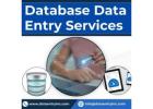 Best Database Data Entry Services in India