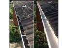Gutter Cleaning Services in Tauranga