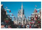Cheap Flights to Orlando with Travelay™