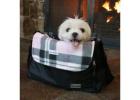 Small Dog Sling Carriers -Cozy Travel Carriers for Pets