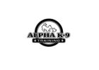 Alpha K-9 Dog Training