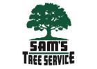 Emergency Tree Service​ Windsor