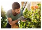 Professional Gardening Services in Pune | G1S Group Green Care