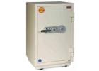 Advanced Security Safe for High-Value Asset Protection & Storage