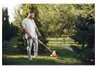 Reliable Lawn Care in Westerville, Ohio – Start Now