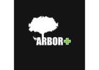 Arbor Plus