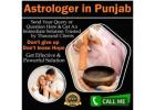 Best Astrologer in Punjab
