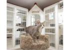 Happy Hounds Pet Retreat Comprehensive Cat Boarding Prices in Maine