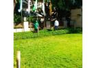 Eco-Friendly Artificial Lawn Solutions for Gardens & Terraces | GreenLands