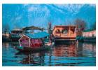 Best Travel Agents in Srinagar for Local Tours & Sightseeing