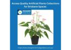 Access Quality Artificial Plants Collections for Brisbane Spaces