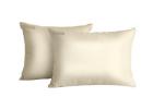 Buy Cream Beige Silk Pillowcases Set of 2 Online