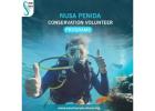 Nusa Penida conservation volunteer programs