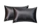Buy Dark Grey Silk Pillowcases Set of 2 Online