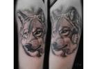 Dog Portrait Tattoo Artist Near Me | Midnight Moon Tattoo