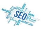 Expert SEO Services to Boost Your Traffic