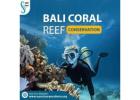 Bali Coral Reef Conservation