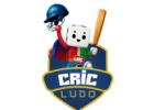 Play Cricket Ludo Online - Cricludo