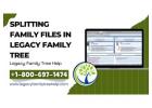 Splitting Family Files in Legacy Using Split Screen View
