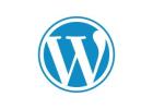 Invoidea is the Best WordPress Development Company in India Delivering High-Performance Websites