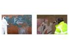 Reliable Graffiti Removal Services in Canberra for Clean and Professional Properties