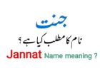 জান্নাত নামের অর্থ কি: অর্থ, উৎস ও তাৎপর্য নিয়ে আলোচনা