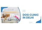 Dog Clinic In Delhi  | CGS Hospital