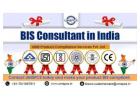 BIS Consultancy Services in India