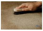 Common Carpet Stains & Easy Removal Tips for Your Home