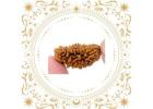 Buy 1 mukhi rudraksha original Online - Rudraksha Hart