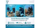Coral Restoration Bali – Protection of Marine Life