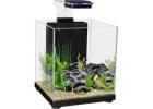 Oasis Aquariums | Fish Aquarium Shop in Sydney & Australia for Quality Tanks