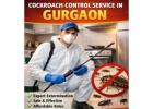 Reliable Cockroach Control Service in Gurgaon | Safe & Long-Lasting Solutions by Service Mantra