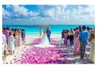 Hawaii Wedding Packages & Photographer | Beach, Destination & Big Island Weddings