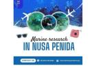 Marine research in Nusa Penida