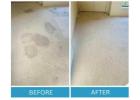 Find Industry-Approved Upholstery Cleaning Service Adelaide