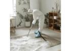 Professional Office Carpet Steam Cleaning Melbourne for Stain & Odour Removal