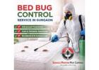 Trusted Bed Bug Control Service in Gurgaon for Complete Pest Protection